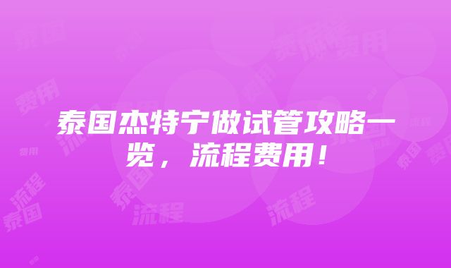 泰国杰特宁做试管攻略一览，流程费用！