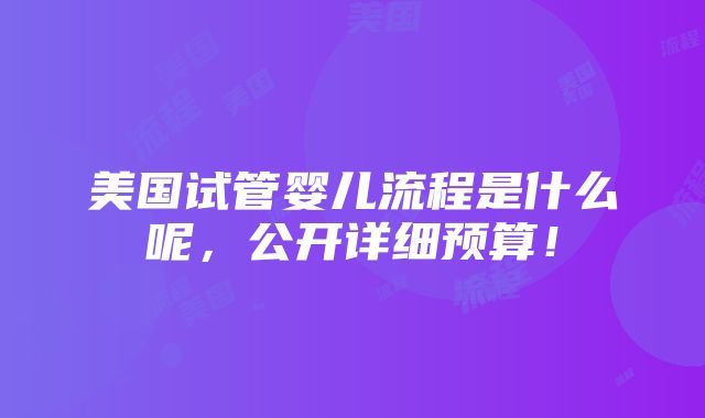 美国试管婴儿流程是什么呢，公开详细预算！