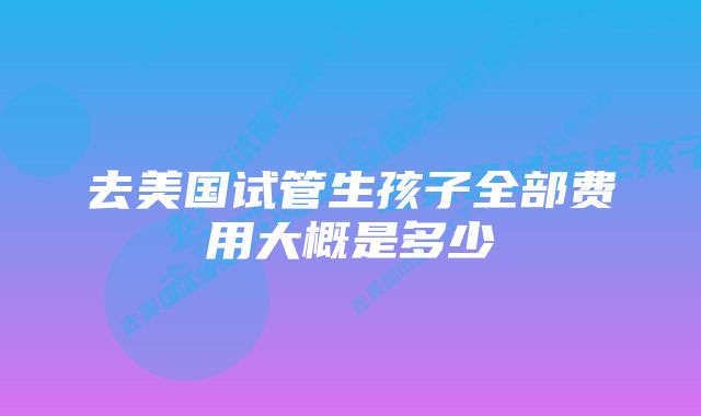 去美国试管生孩子全部费用大概是多少