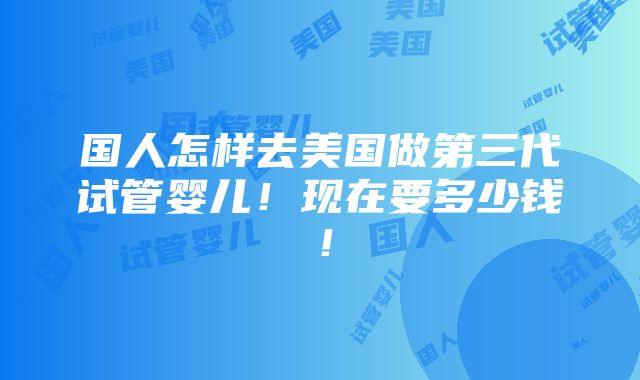 国人怎样去美国做第三代试管婴儿！现在要多少钱！