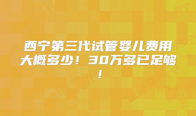 西宁第三代试管婴儿费用大概多少！30万多已足够！