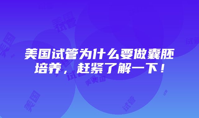 美国试管为什么要做囊胚培养，赶紧了解一下！