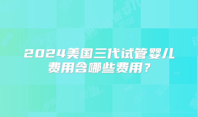 2024美国三代试管婴儿费用含哪些费用？