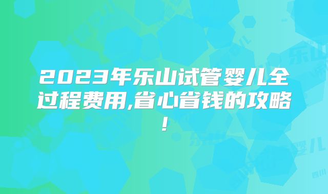 2023年乐山试管婴儿全过程费用,省心省钱的攻略!