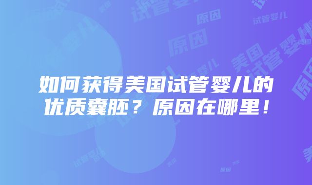 如何获得美国试管婴儿的优质囊胚？原因在哪里！