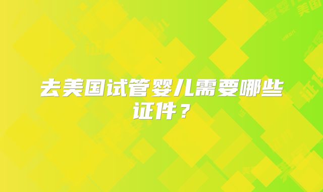 去美国试管婴儿需要哪些证件？