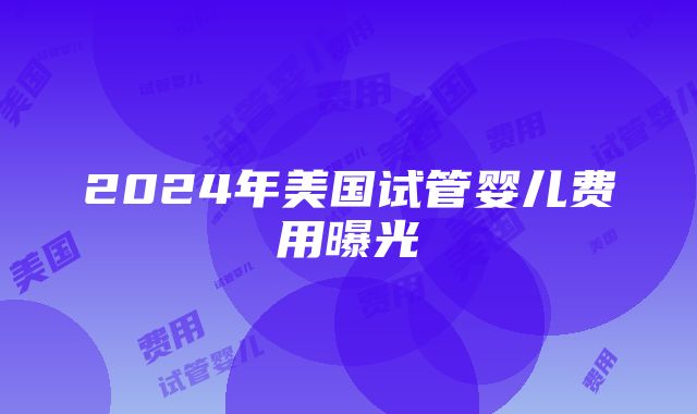 2024年美国试管婴儿费用曝光