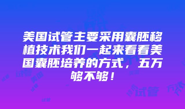 美国试管主要采用囊胚移植技术我们一起来看看美国囊胚培养的方式，五万够不够！