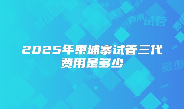 2025年柬埔寨试管三代费用是多少