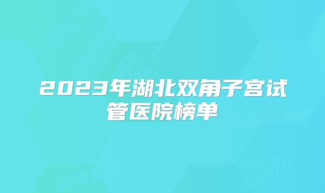 2023年湖北双角子宫试管医院榜单