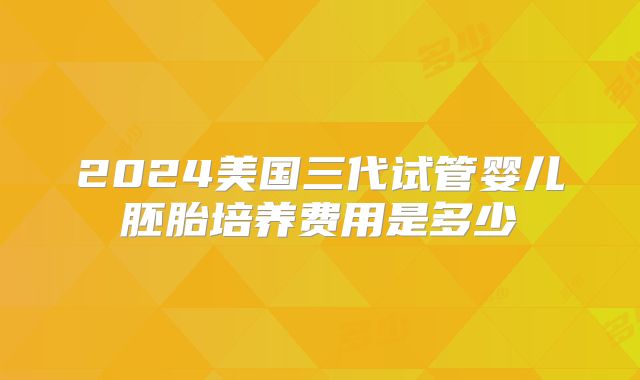 2024美国三代试管婴儿胚胎培养费用是多少