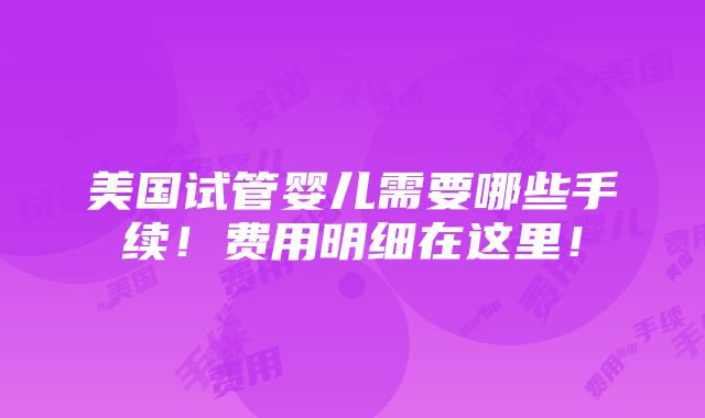 美国试管婴儿需要哪些手续！费用明细在这里！