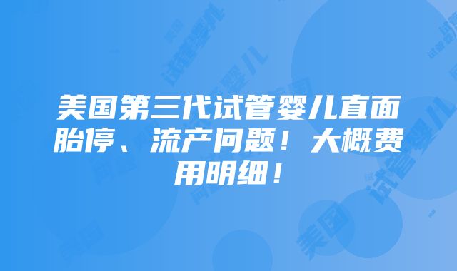 美国第三代试管婴儿直面胎停、流产问题！大概费用明细！