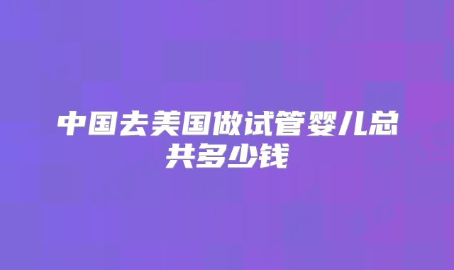 中国去美国做试管婴儿总共多少钱