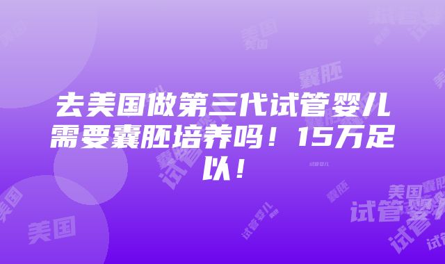 去美国做第三代试管婴儿需要囊胚培养吗！15万足以！