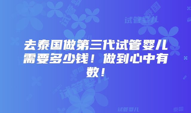 去泰国做第三代试管婴儿需要多少钱！做到心中有数！