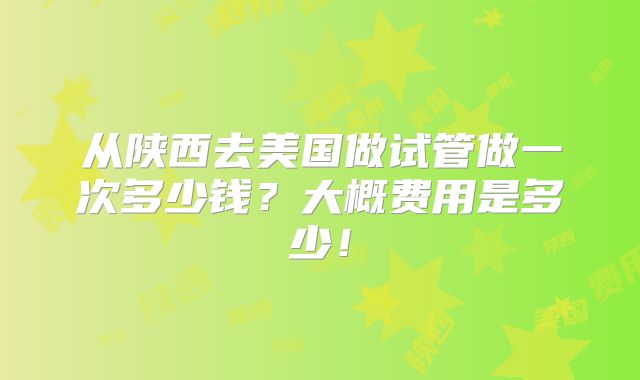 从陕西去美国做试管做一次多少钱？大概费用是多少！