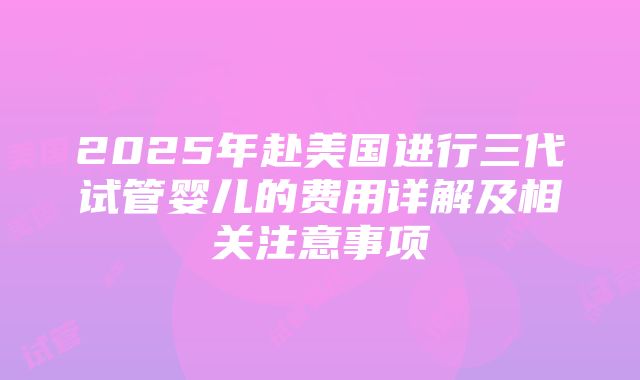 2025年赴美国进行三代试管婴儿的费用详解及相关注意事项