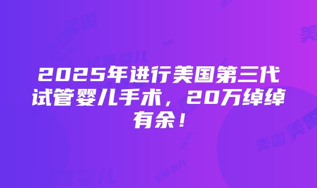 2025年进行美国第三代试管婴儿手术，20万绰绰有余！