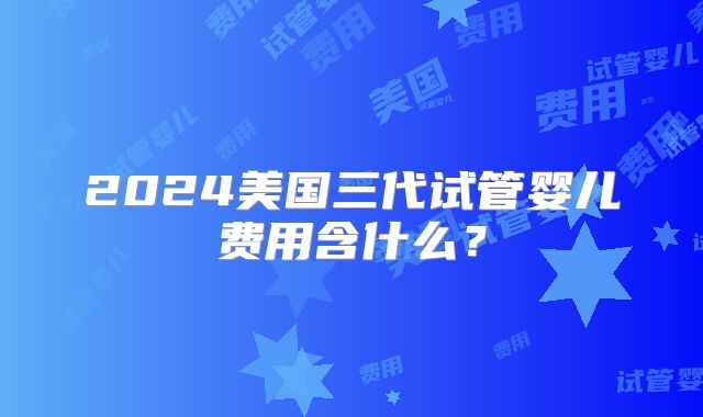 2024美国三代试管婴儿费用含什么？