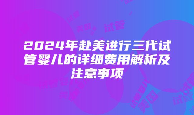 2024年赴美进行三代试管婴儿的详细费用解析及注意事项