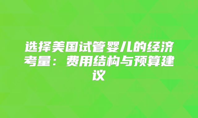 选择美国试管婴儿的经济考量：费用结构与预算建议