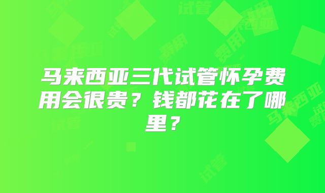 马来西亚三代试管怀孕费用会很贵？钱都花在了哪里？