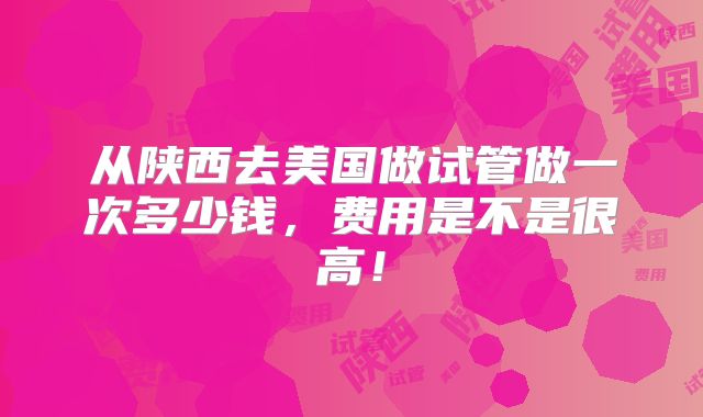 从陕西去美国做试管做一次多少钱，费用是不是很高！