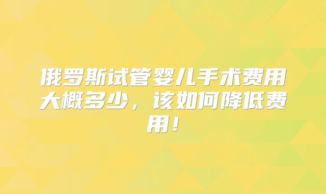 俄罗斯试管婴儿手术费用大概多少，该如何降低费用！