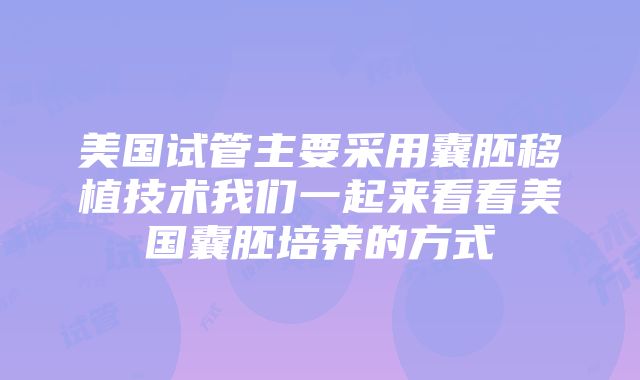 美国试管主要采用囊胚移植技术我们一起来看看美国囊胚培养的方式