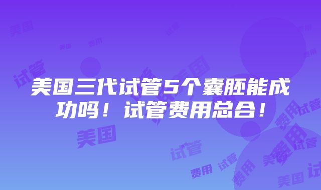 美国三代试管5个囊胚能成功吗！试管费用总合！