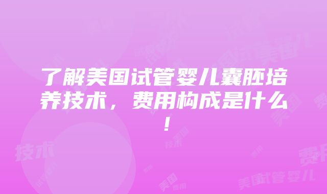 了解美国试管婴儿囊胚培养技术，费用构成是什么！