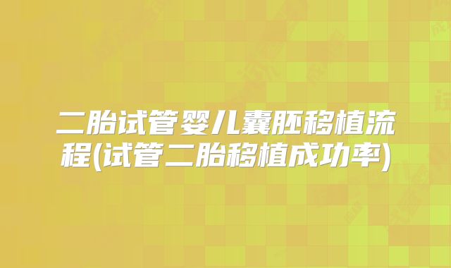 二胎试管婴儿囊胚移植流程(试管二胎移植成功率)