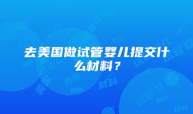 去美国做试管婴儿提交什么材料？