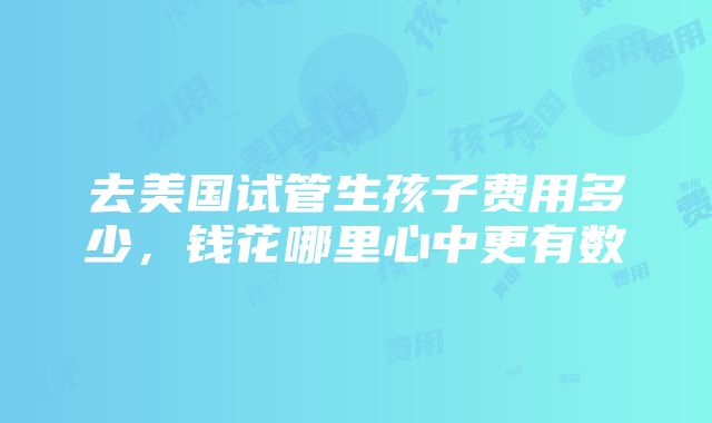 去美国试管生孩子费用多少，钱花哪里心中更有数