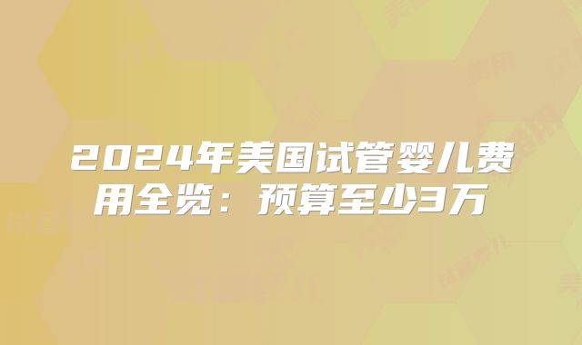 2024年美国试管婴儿费用全览：预算至少3万