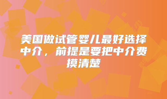 美国做试管婴儿最好选择中介，前提是要把中介费摸清楚