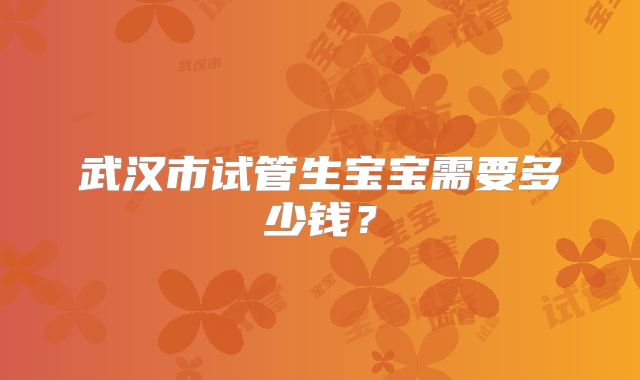 武汉市试管生宝宝需要多少钱?