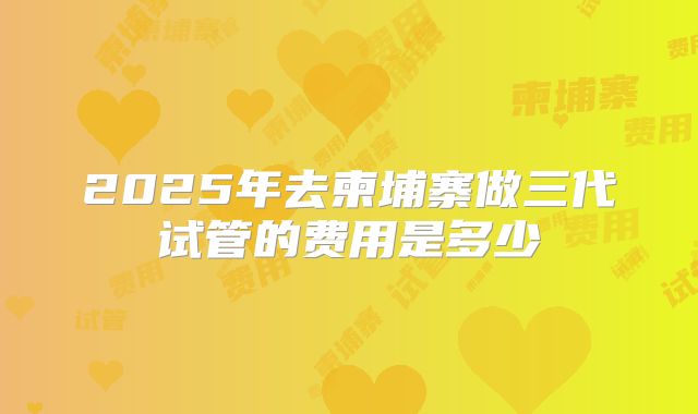 2025年去柬埔寨做三代试管的费用是多少