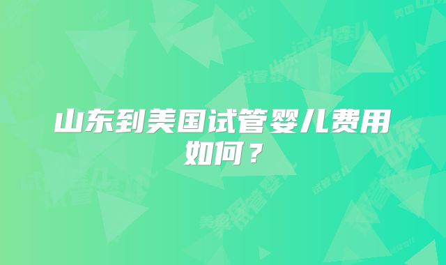 山东到美国试管婴儿费用如何？