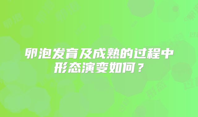 卵泡发育及成熟的过程中形态演变如何？