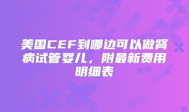 美国CEF到哪边可以做肾病试管婴儿,附最新费用明细表
