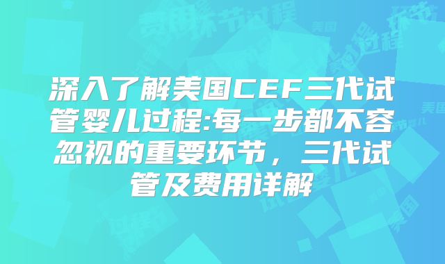 深入了解美国CEF三代试管婴儿过程:每一步都不容忽视的重要环节,三代试管及费用详解