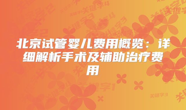 北京试管婴儿费用概览：详细解析手术及辅助治疗费用
