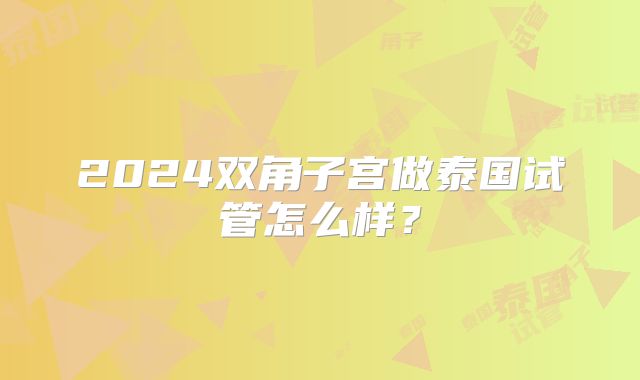 2024双角子宫做泰国试管怎么样？