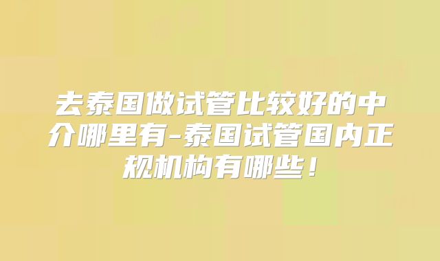 去泰国做试管比较好的中介哪里有-泰国试管国内正规机构有哪些!