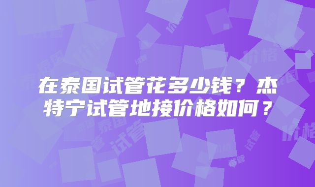 在泰国试管花多少钱？杰特宁试管地接价格如何？