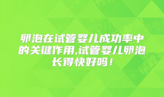 卵泡在试管婴儿成功率中的关键作用,试管婴儿卵泡长得快好吗!