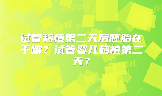 试管移植第二天后胚胎在干嘛？试管婴儿移植第二天？