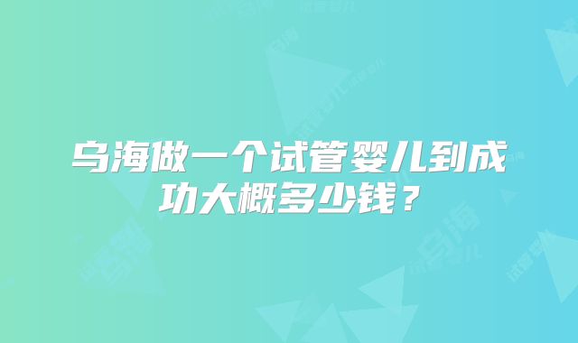 乌海做一个试管婴儿到成功大概多少钱？